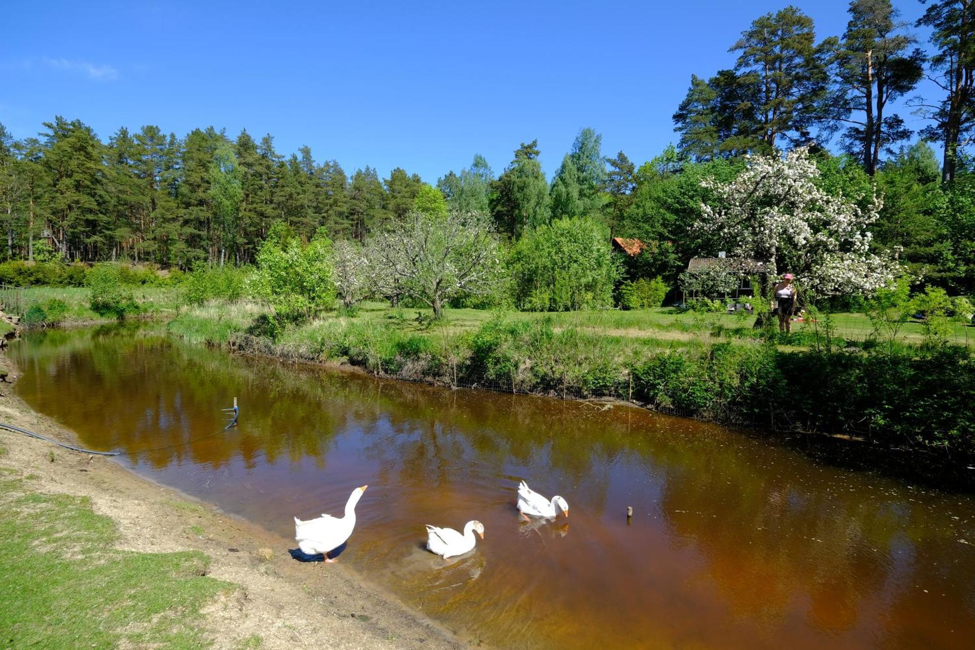 Kallaste Talu- Turismitalu & Holiday Resort Padise Eksteriør bilde